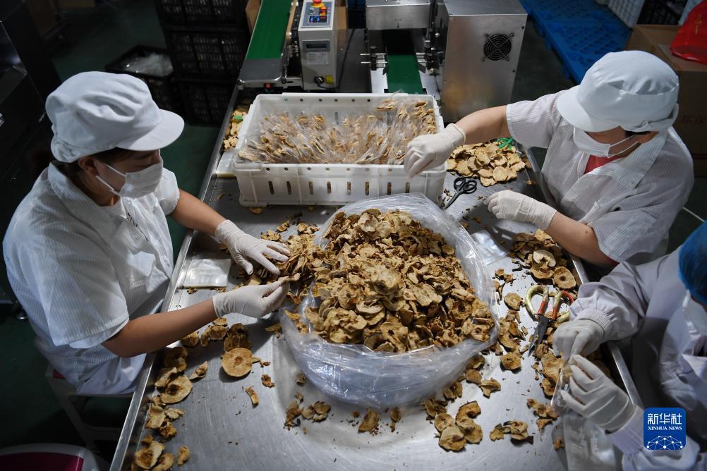 老虎机电子官网